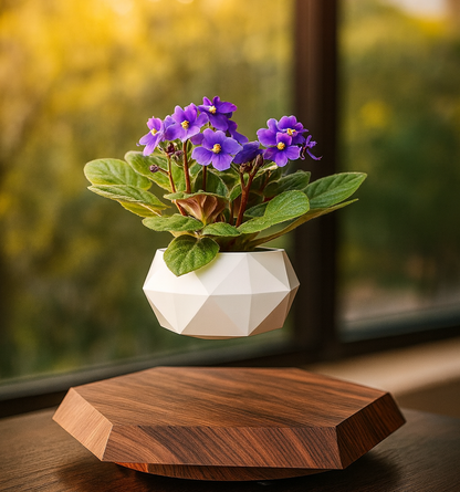 Levitating - Floating Flower Pot with Wood Base ©