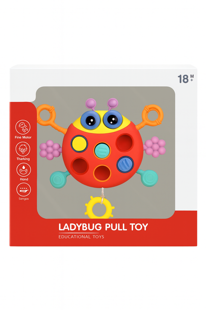 Ladybug Pull Toy