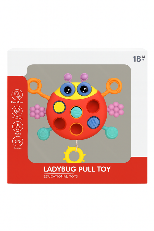 Ladybug Pull Toy