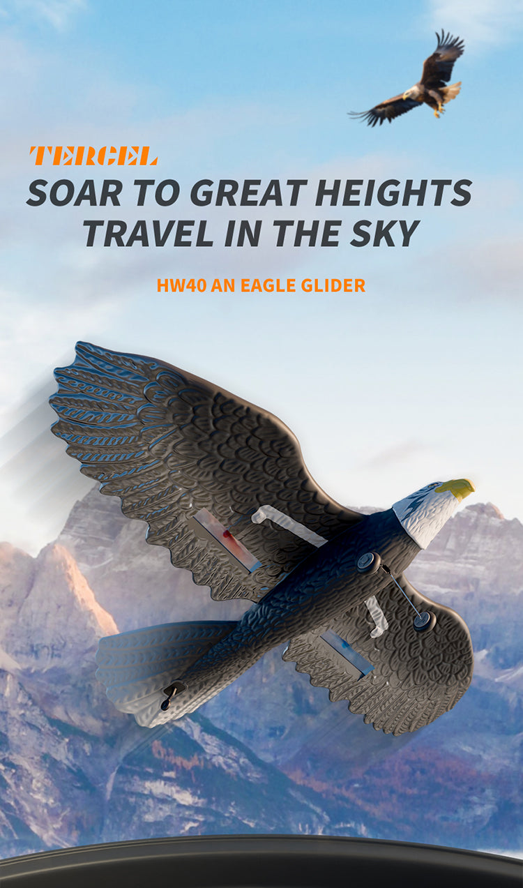 نسر RC للأطفال