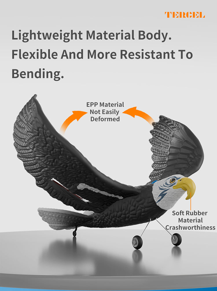 نسر RC للأطفال