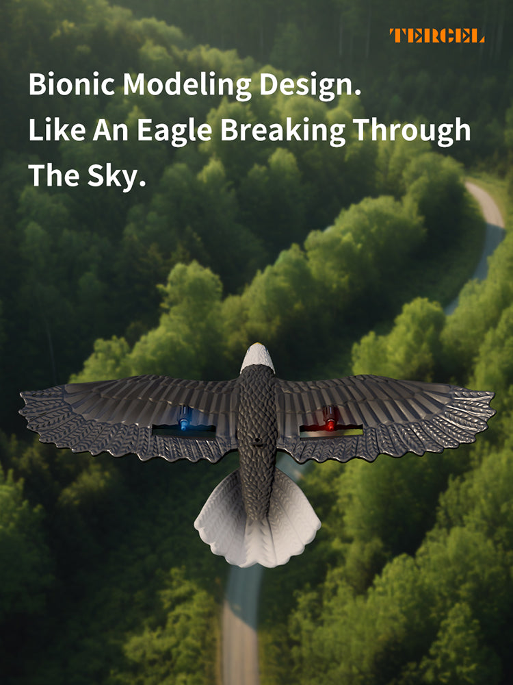 نسر RC للأطفال