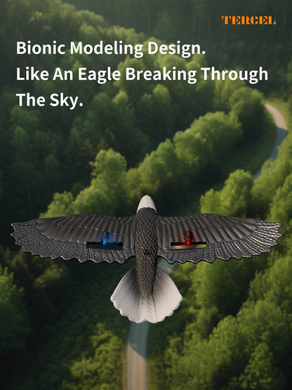 نسر RC للأطفال