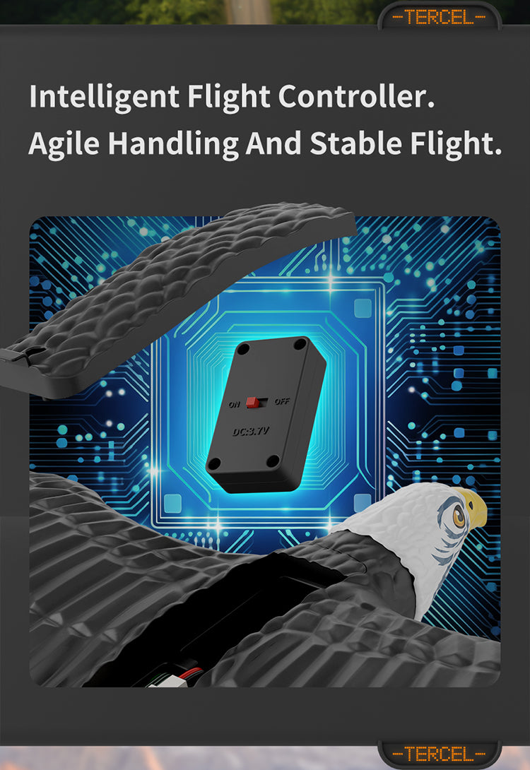 نسر RC للأطفال