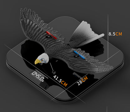 نسر RC للأطفال