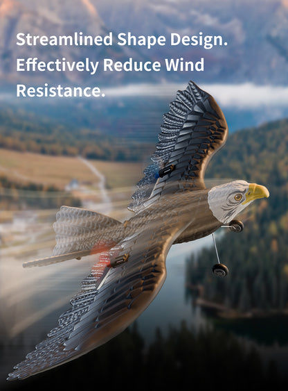 نسر RC للأطفال