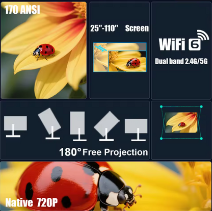 LED - Multimedia Projector ©