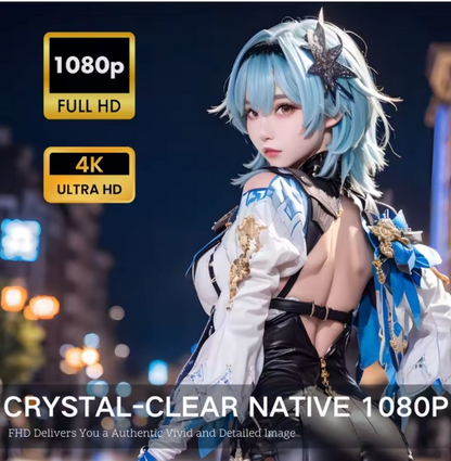 LED - Source Multimedia Projector ©