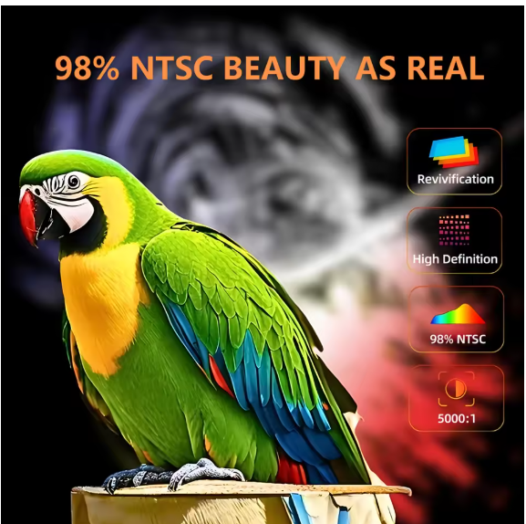 LED - Source Multimedia Projector ©