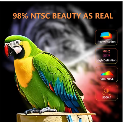 LED - Source Multimedia Projector ©