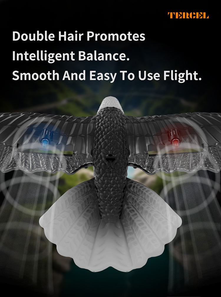 نسر RC للأطفال