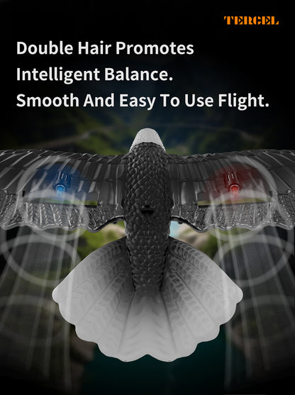 نسر RC للأطفال