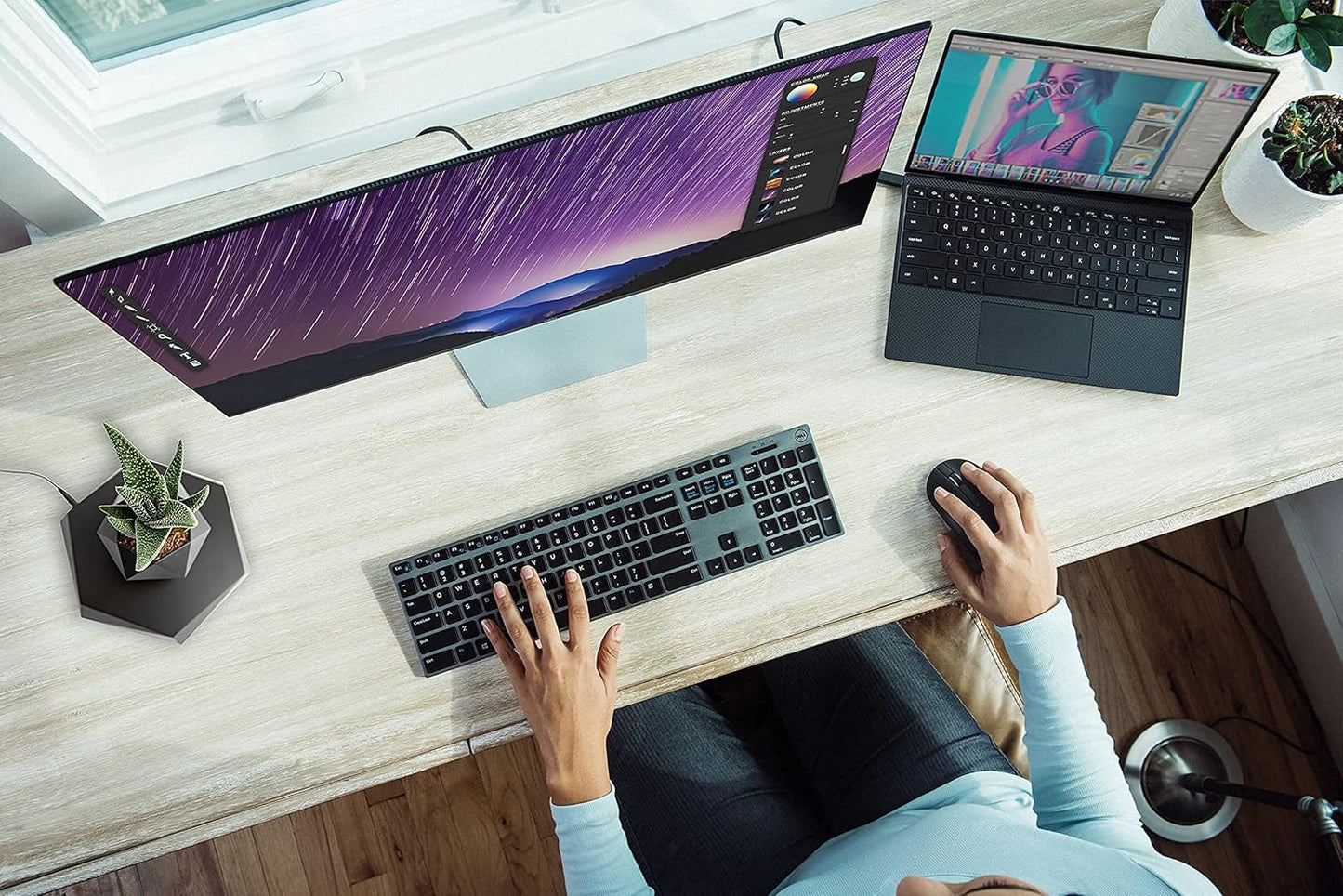 طافية - وعاء زراعة بونساي ©