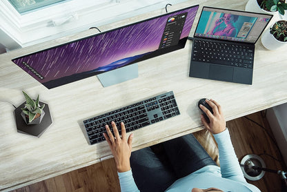 طافية - وعاء زراعة بونساي ©