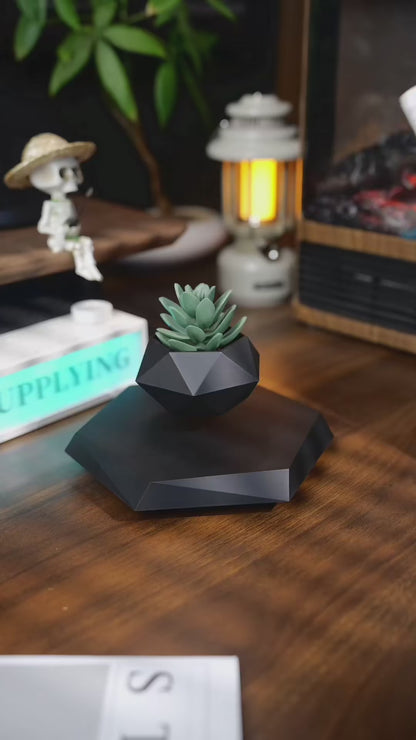 طافية - وعاء زراعة بونساي ©