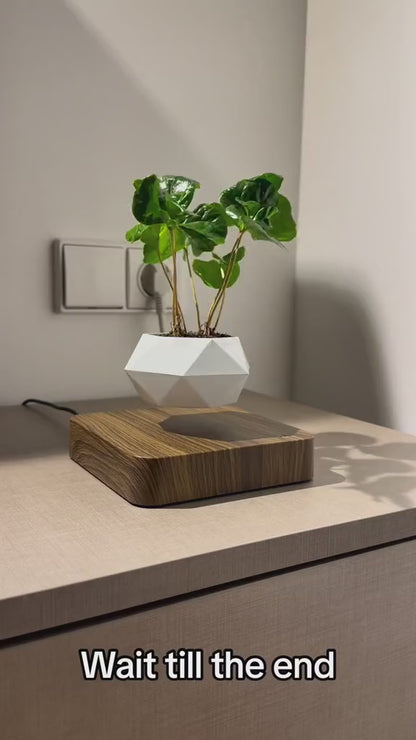 Levitating - Floating Flower Pot with Wood Base ©